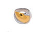 Cosmic Rings